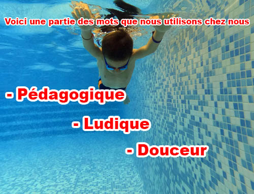 Logo classes bleues natation